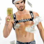 Chippendale Metz Ross