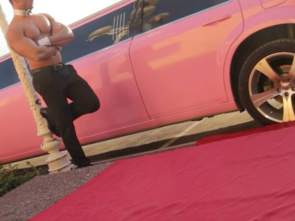 Stripteaseur en limousine Metz